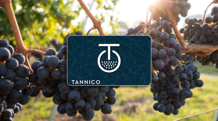 GIFT CARD TANNICO: L’ENOTECA DI VINI ITALIANI PIÙ GRANDE DEL MONDO ENTRA NEL CATALOGO AMILON 